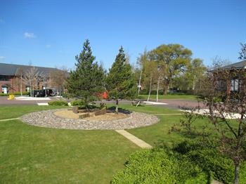 Central landscaping feature